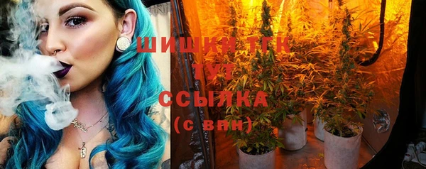 гидропоника Верея