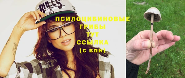 гидропоника Верея
