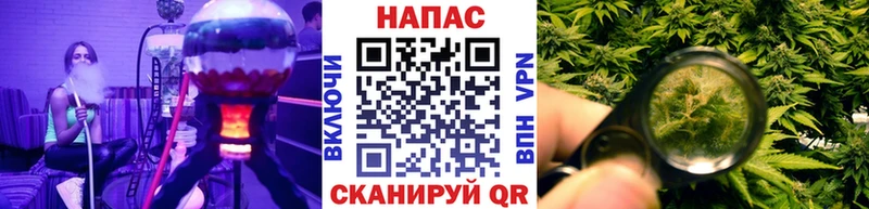 Бошки марихуана планчик  Купить закладки  Талица 
